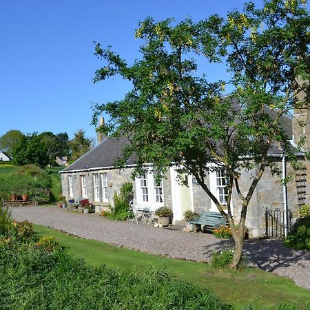 Balmungo Cottage B&B St Andrews Exteriör bild