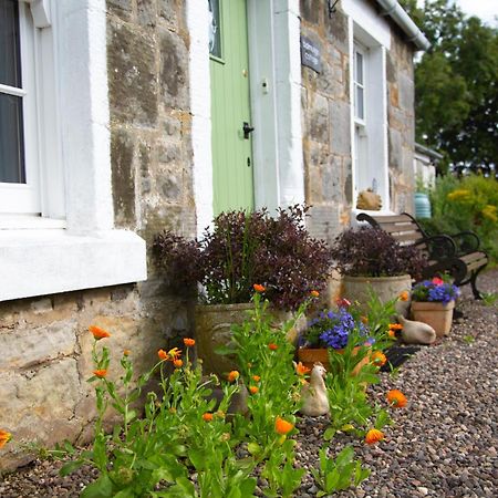 Balmungo Cottage B&B St Andrews Exteriör bild