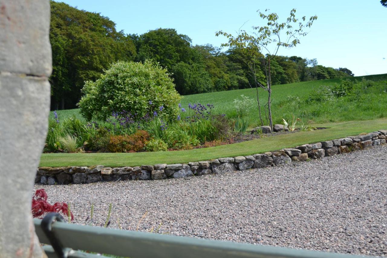 Balmungo Cottage B&B St Andrews Exteriör bild