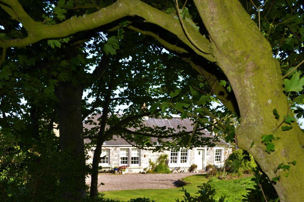 Balmungo Cottage B&B St Andrews Exteriör bild