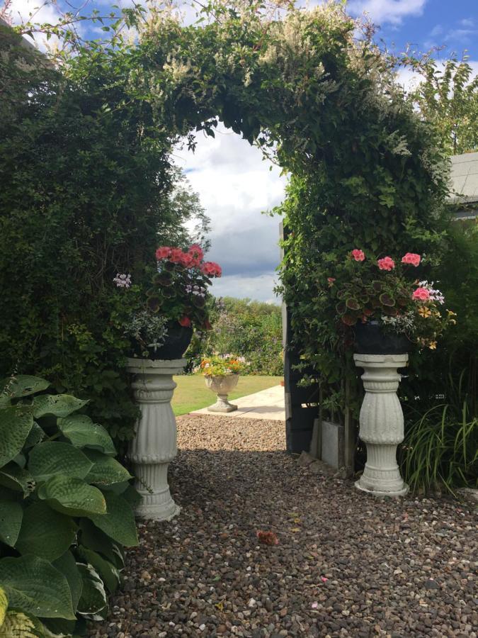 Balmungo Cottage B&B St Andrews Exteriör bild
