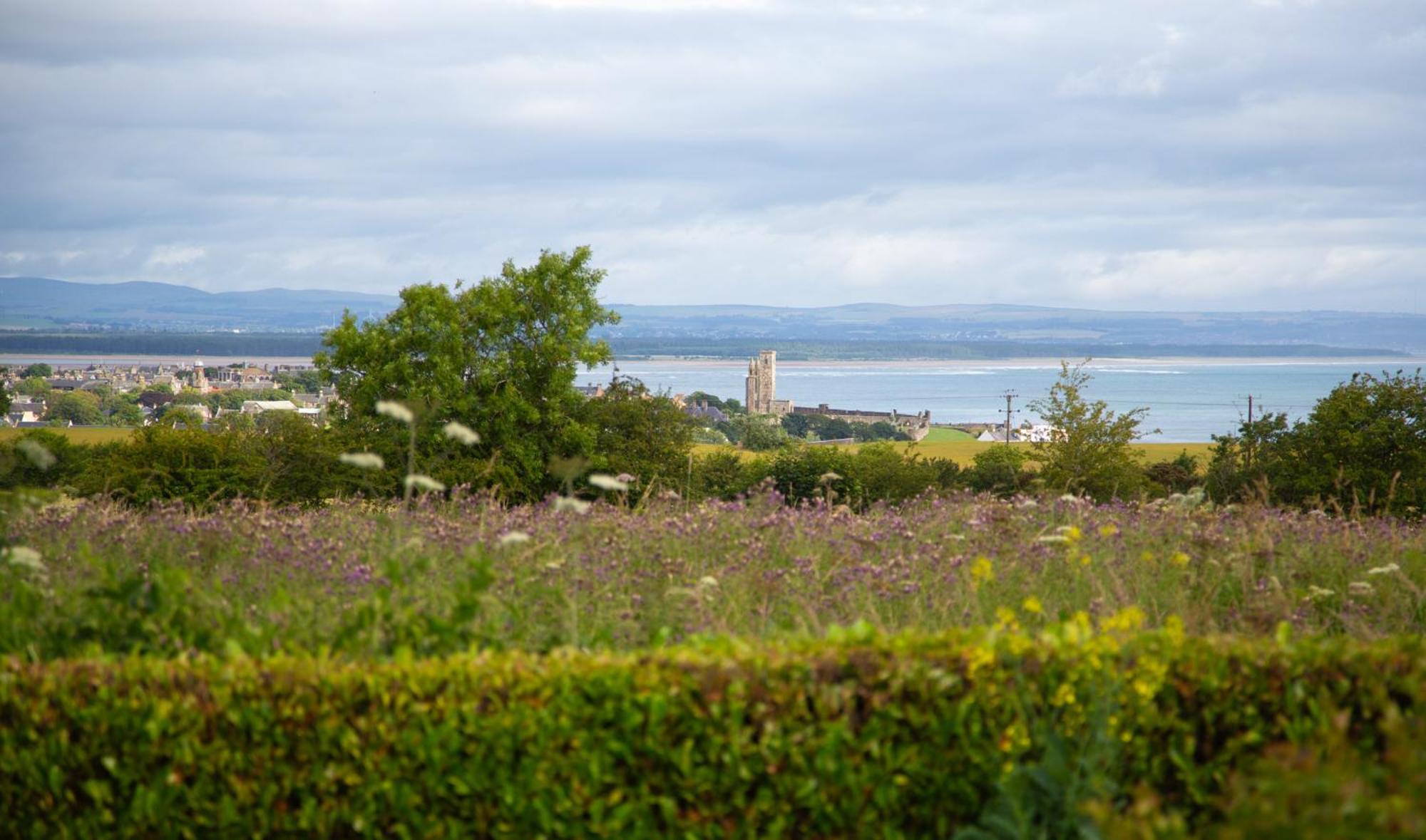 Balmungo Cottage B&B St Andrews Exteriör bild