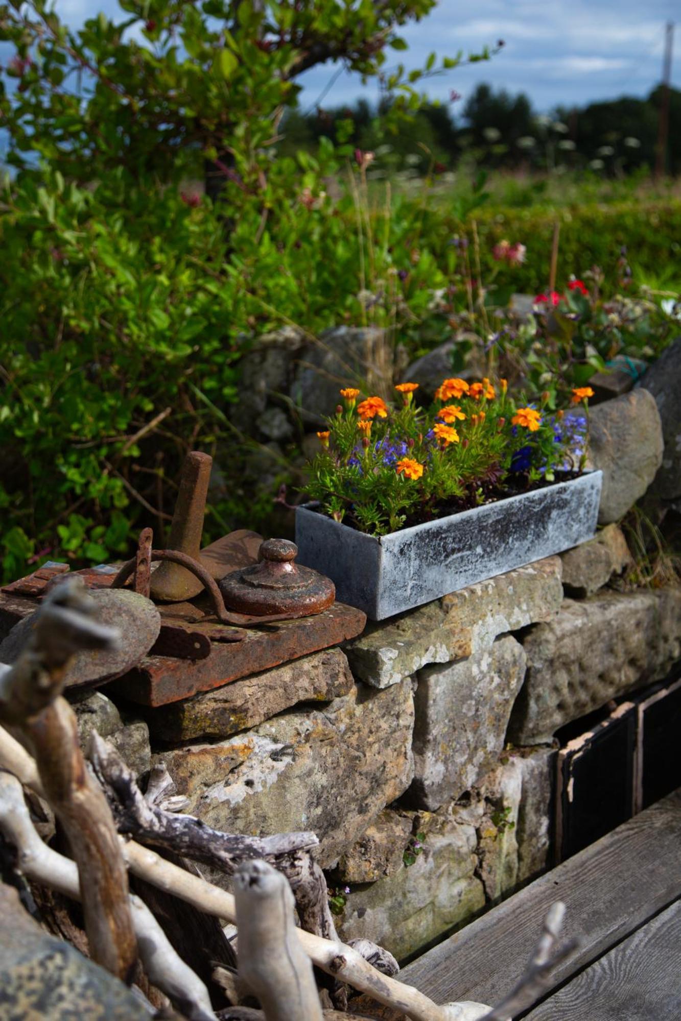 Balmungo Cottage B&B St Andrews Exteriör bild