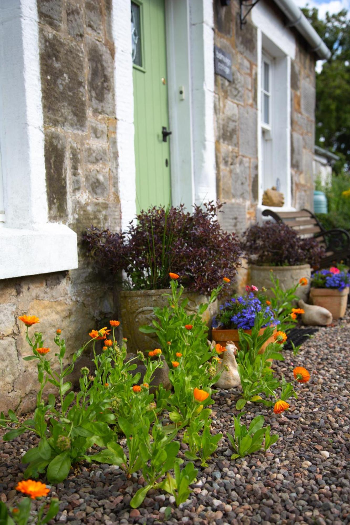 Balmungo Cottage B&B St Andrews Exteriör bild