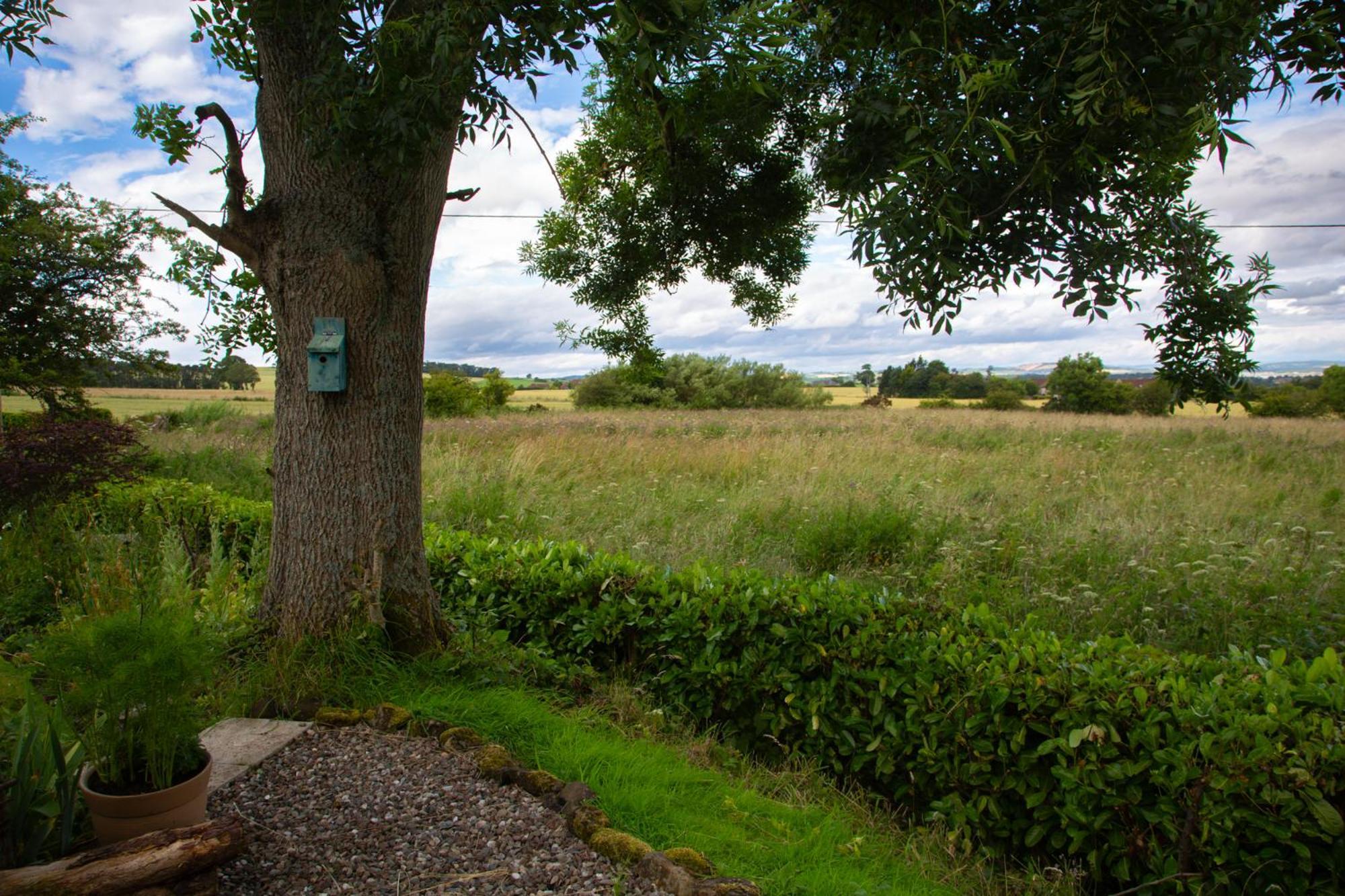 Balmungo Cottage B&B St Andrews Exteriör bild