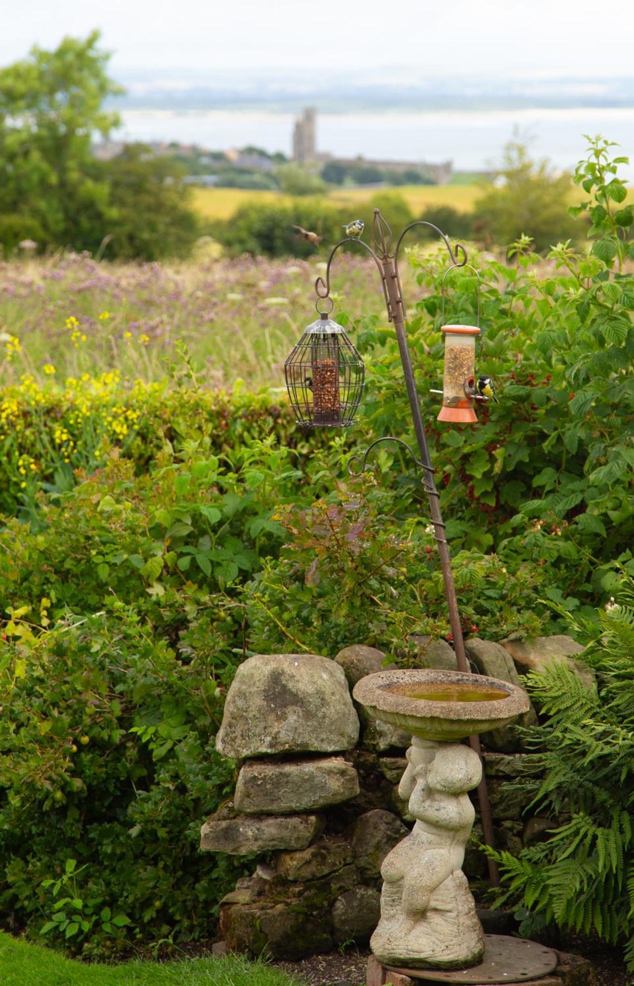 Balmungo Cottage B&B St Andrews Exteriör bild