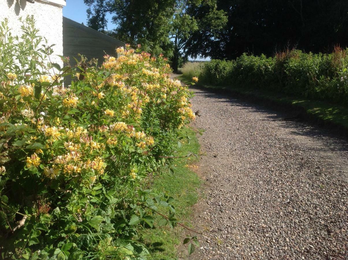 Balmungo Cottage B&B St Andrews Exteriör bild