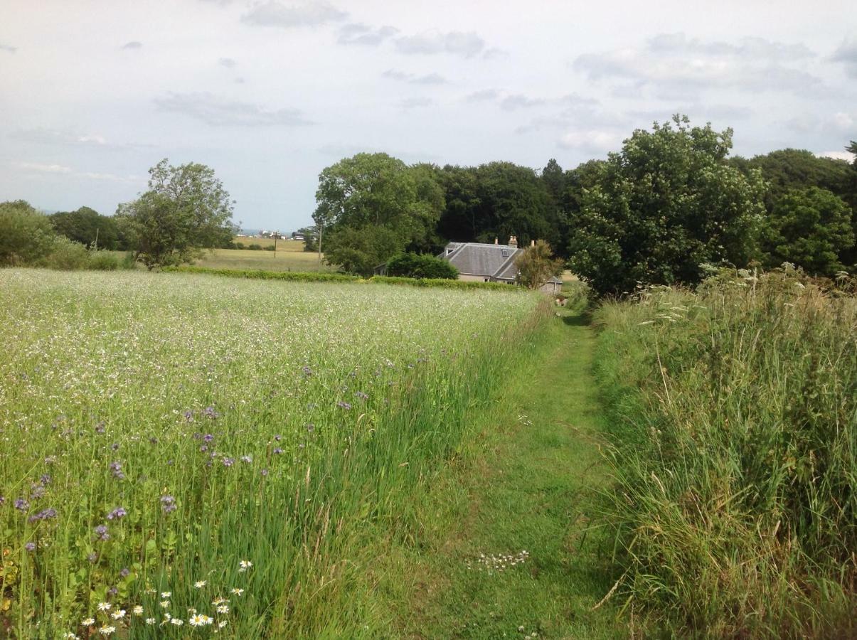 Balmungo Cottage B&B St Andrews Exteriör bild